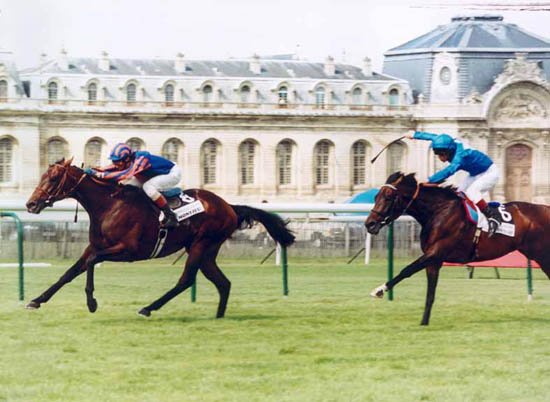 第159回仏ダービー結果